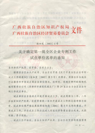 康興被廣西區(qū)經(jīng)貿(mào)委、廣西區(qū)知識產(chǎn)權局確定為＂廣西專利工作試點企業(yè)＂