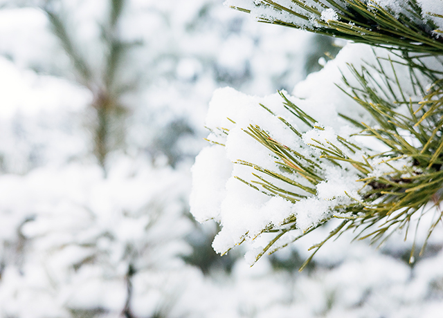 冬天、下雪、寒冷-康興醫(yī)療器械官網(wǎng)