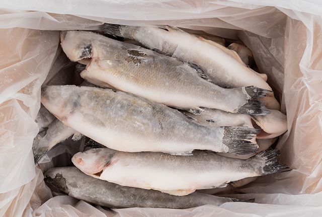 冷凍魚、海鮮、健康-康興醫(yī)療器械官網