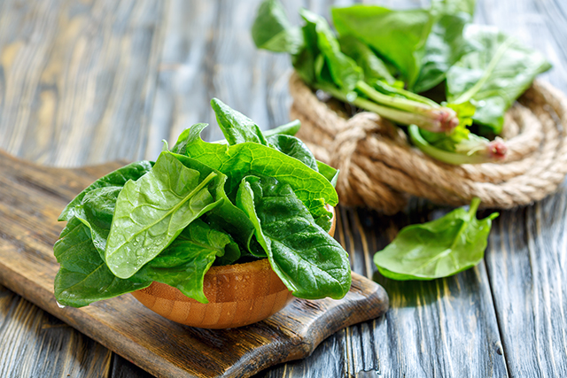 菠菜 蔬菜 飲食-康興醫(yī)療官網(wǎng)