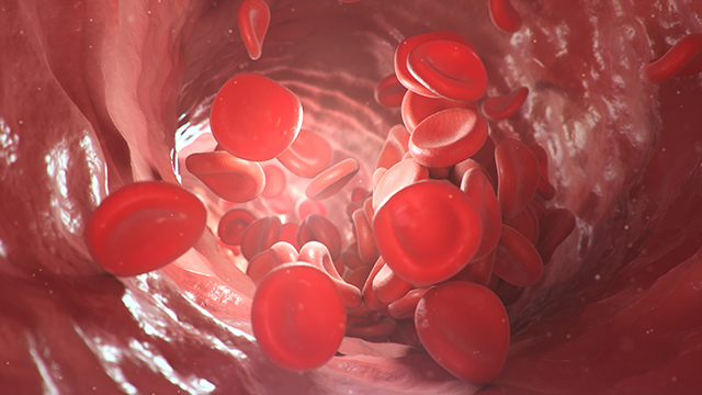 血液粘稠 血紅蛋白 血液循環(huán)-康興醫(yī)療官網(wǎng)